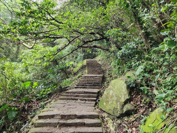 小百岳No.5⛰觀音山2645608