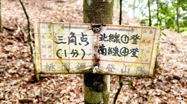 【中級山】來過一次，你不會忘記它的名字，新竹油羅山2743753