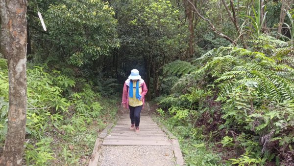 (姨婆趴趴走)第五十五集:攀登健走台北大崙頭尾山親山步道環狀一圈2853766
