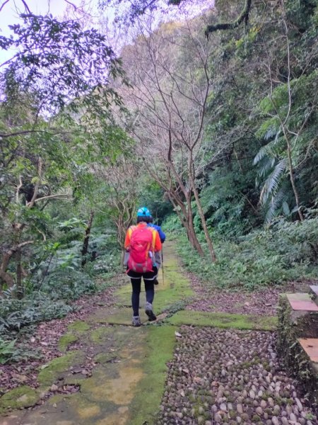 ［象山~深坑8連峰］  （象山～南港山南峰～拇指山～倒照湖山～大坑山～西峰~三腳木山~西峰）2403157