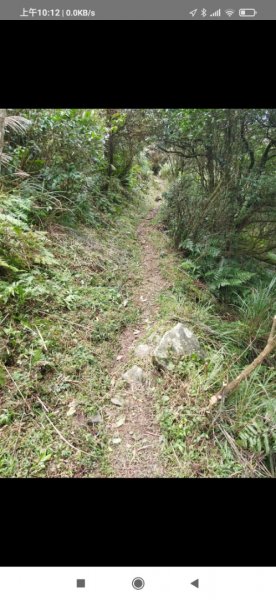 富士坪古道、大尖山草原整徑後優質登山步道1544247