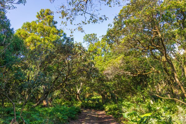 [台北]紗帽山2956590