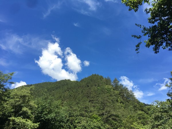 武陵農場~~桃山步道1050900