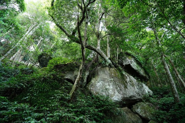 新竹 五峰 油羅山、霞山2798235