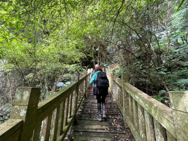 1140618鳴鳳古道｜錫隘-雲洞宮2815359
