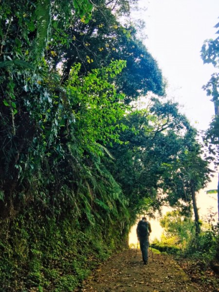 瓏美麗一週一步道（馬那邦山）558306