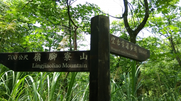 鐵道密境~嶺腳寮山步道順訪望古瀑布51553