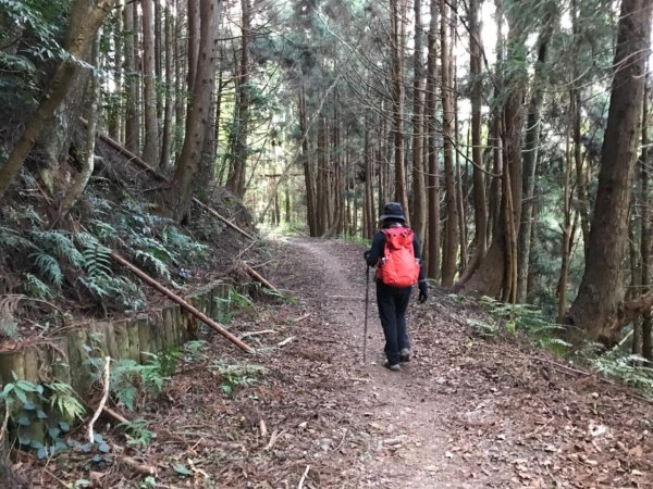 霞喀羅古道走石鹿大山474787