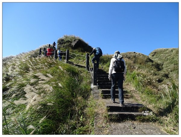 七星山連峰/芒花738699