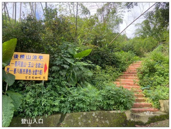 後棟仔山 O型路線2833437