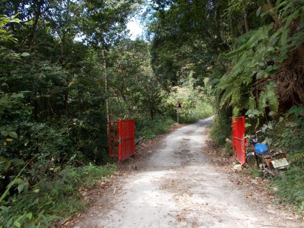 治茆山,治茆山南峰,巒山堂691175