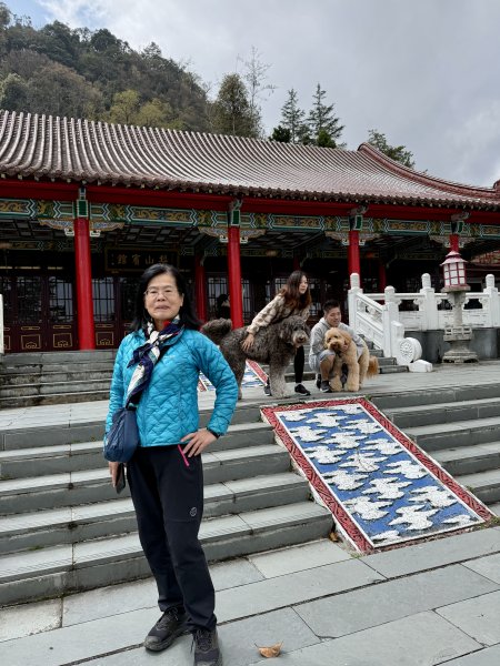 福壽山千櫻園2729940