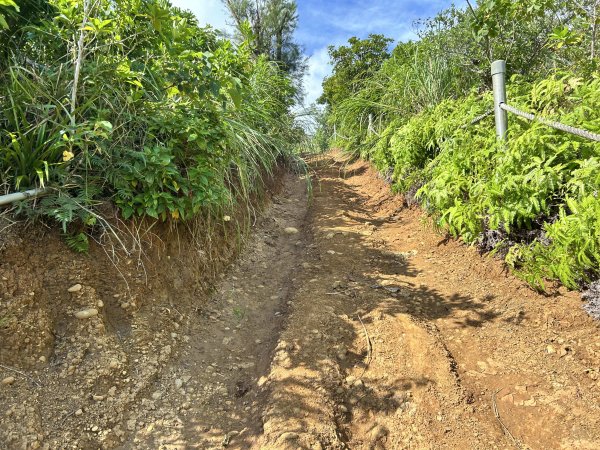 蘭嶼大天池2866711