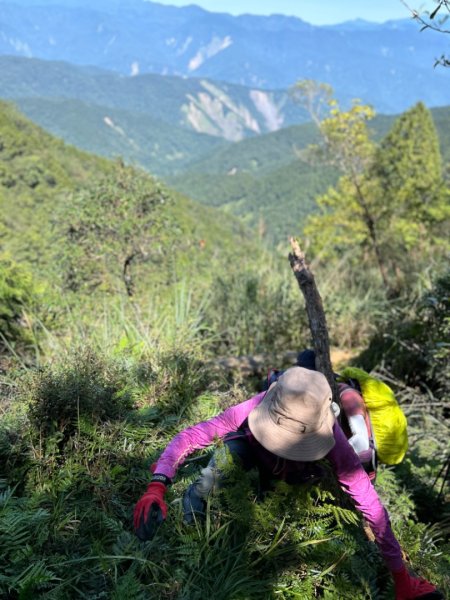 太平山運材軌道見晴線2588831