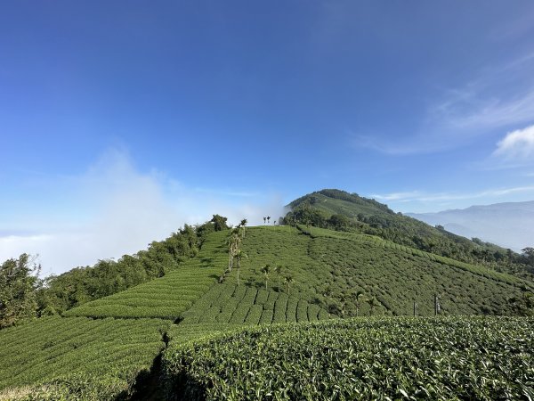 雲嘉十八連峰1932613