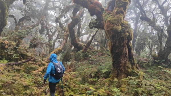 茶仁山單攻2025年4月4日2753335