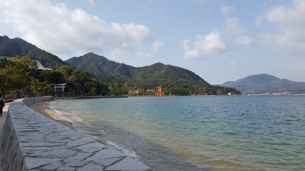 【日本】宮島一日遊。嚴島神社。彌山登山步道1437339