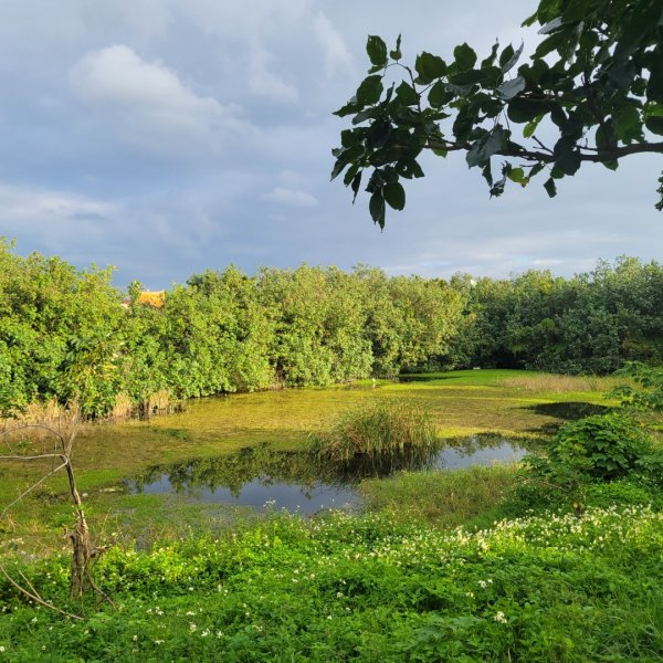 台東市海濱公園2002329