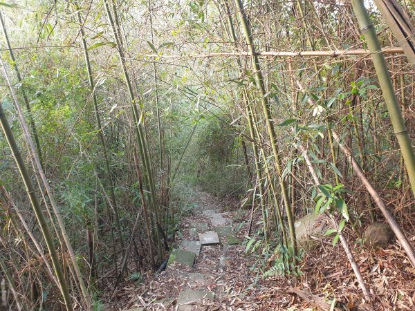 飛沙17連峰2701048