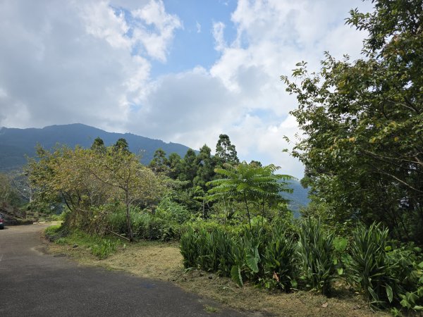 [皮皮獅探險隊-10/10] 2025_0816 白蘭溪古道2862926