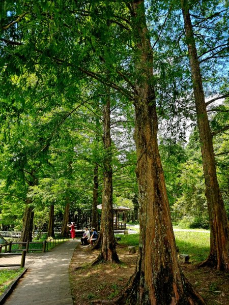 福山植物園 - (宜蘭)臺灣百大必訪步道2557620