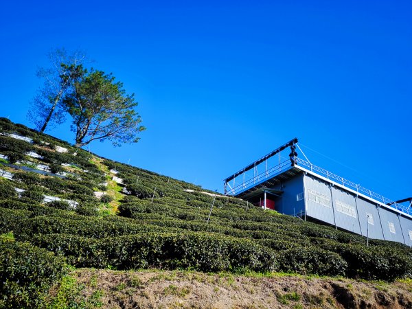 2025-02-16 巴蜈縱走2714320