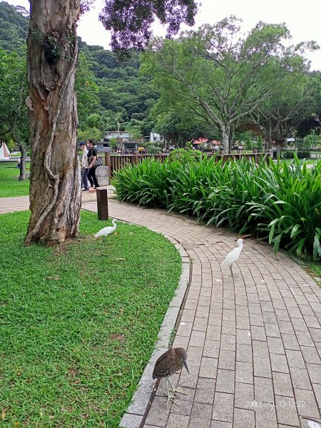 大湖公園、湖山六號公園、大港墘公園【走路趣尋寶、健康大穀東】2313187