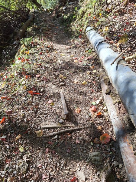 石山引水道202512112959577