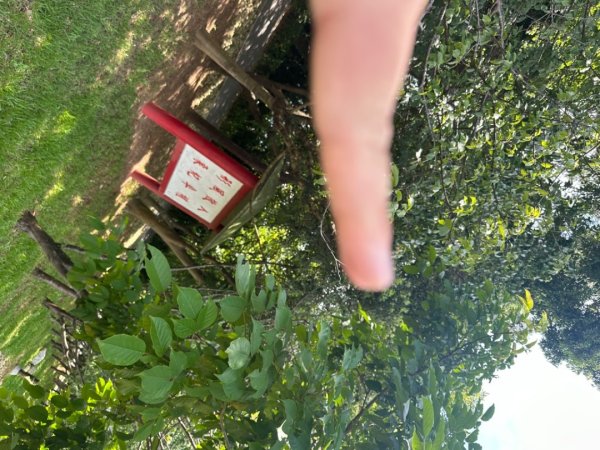 霄裡好風光，運動樂悠遊！2824431