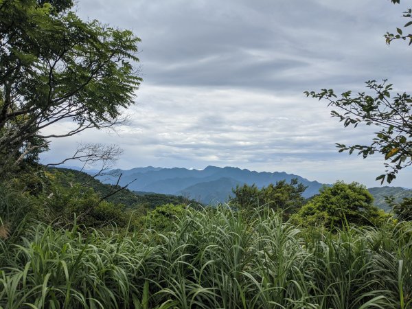 東眼山國家森林遊樂區1056006