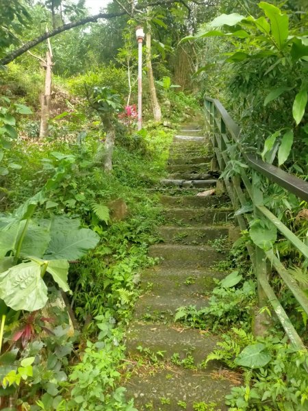 臺北大縱走第七段：世界山莊至飛龍步道2810219