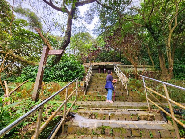 小百岳集起來-南港山2180766