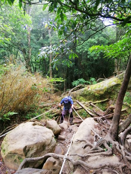 苗栗南庄～陡上陡下無冷場台灣富士山加里山1086975