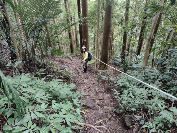 向天湖三山+ 南大龜山3012332