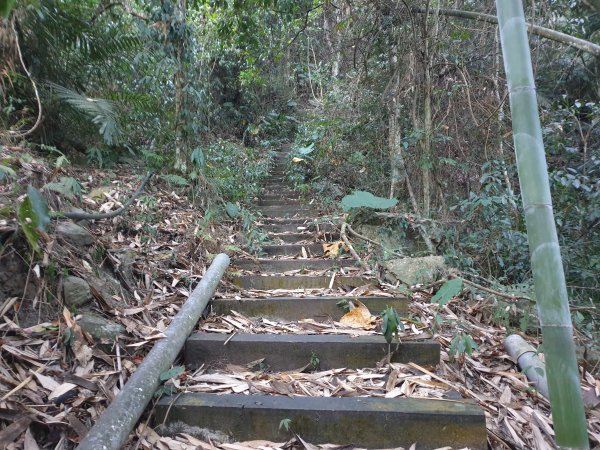 冬瓜山步道與洗水山1560930