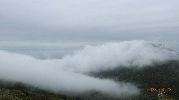 再見陽明山雲瀑，大屯山雲霧飄渺日出乍現，小觀音山西峰賞雲瀑。2123376