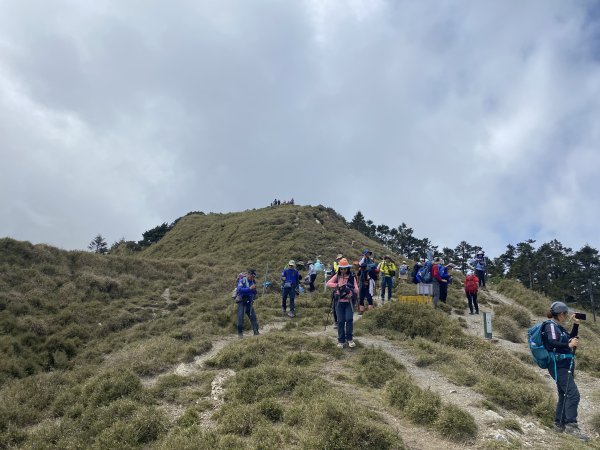 啟動高山渡假模式  奇萊主北三日遊2795330