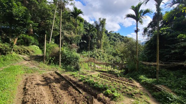 2021-0103 烘爐地步道大O型1224238