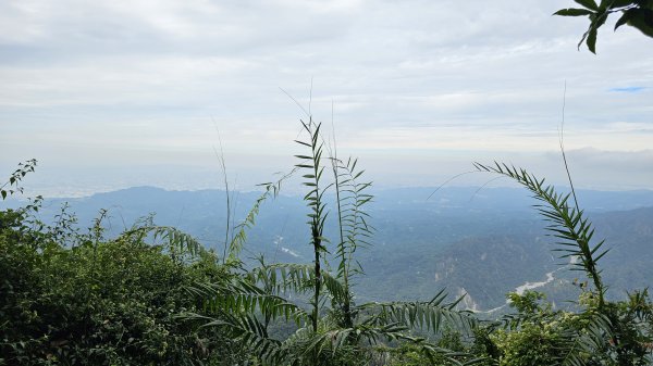 【山形暗影綽綽，我們步履不停，只為那枚海拔千尺下的獨特三角點。】小百岳#044暗影山2943626