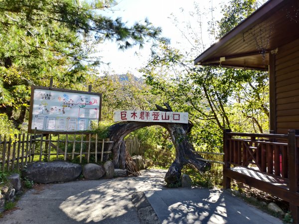 [皮皮獅探險隊-11/10] 2025_1010 隱藏任務–司馬庫斯神木群步道2912315