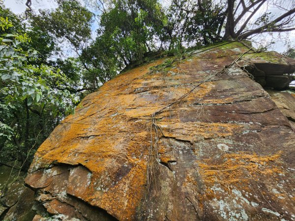 小百岳No.12⛰汐止大尖山2751660