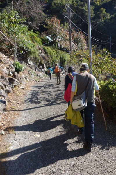 110.12.12馬崙山（海拔2305m）1551476