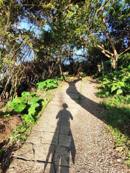 天母古道-翠峰.半嶺.松溪瀑布-紗帽山2655471