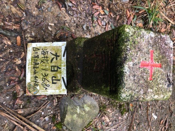 大白山+蘭崁山2695652