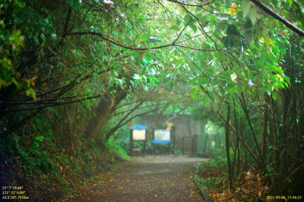 北投煙雨濛濛吃雞行1297596