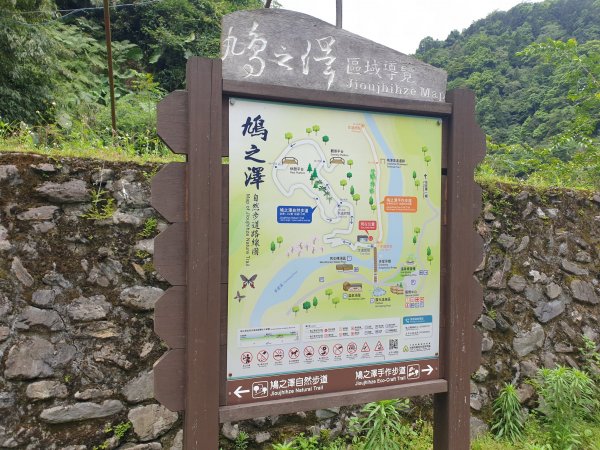 鳩之澤自然步道1572141
