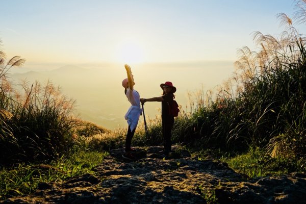 秋陽、金芒、基隆山464492