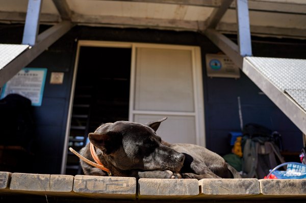 志佳陽大山2906151
