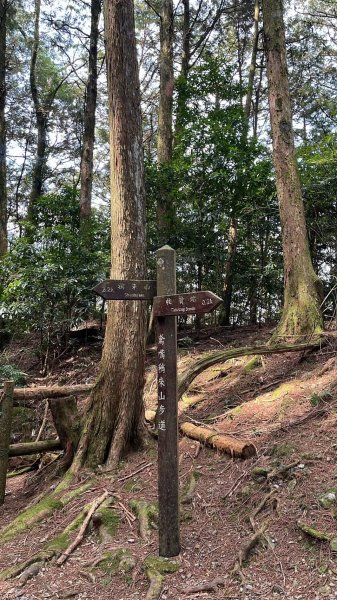 2024/3/23稍來山2738279