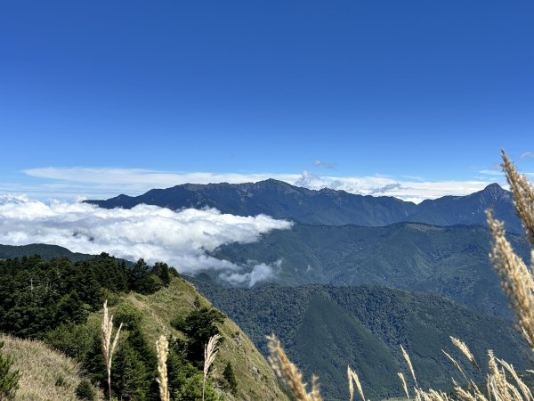 雪山主東峰3119555